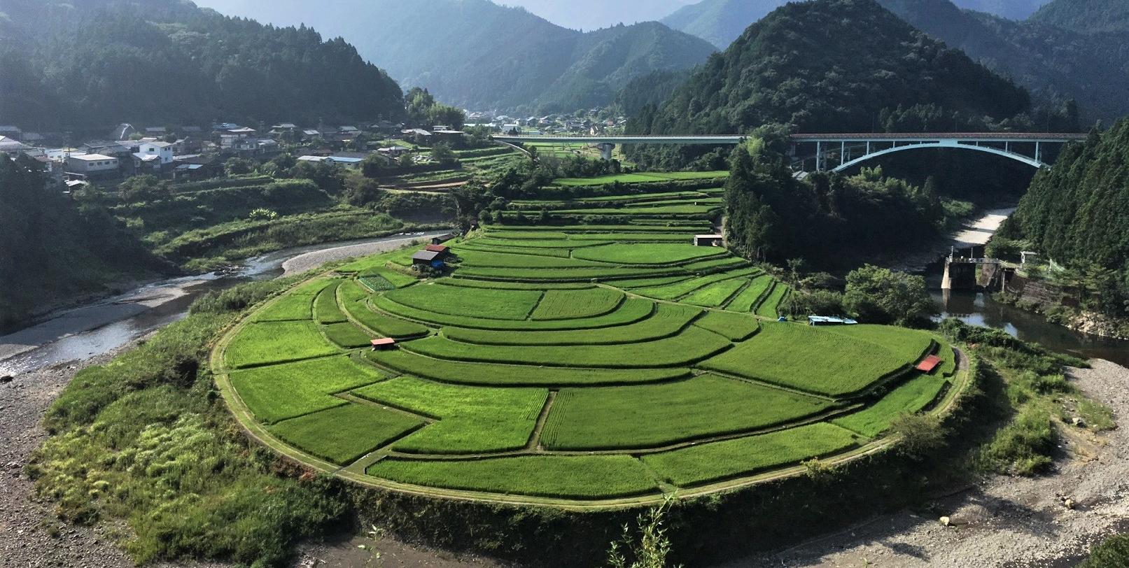 夏のあらぎ島の画像