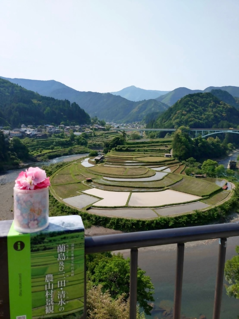 250523Aragijima