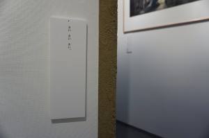 展示されている作品の一部の写真
