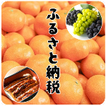 ふるさと納税
