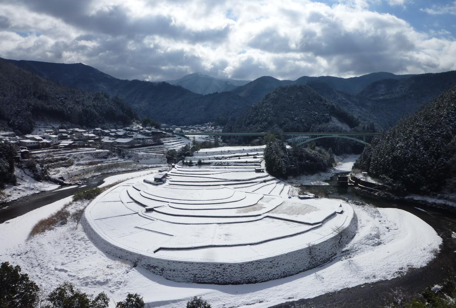 あらぎ島全体に雪が積もっている様子