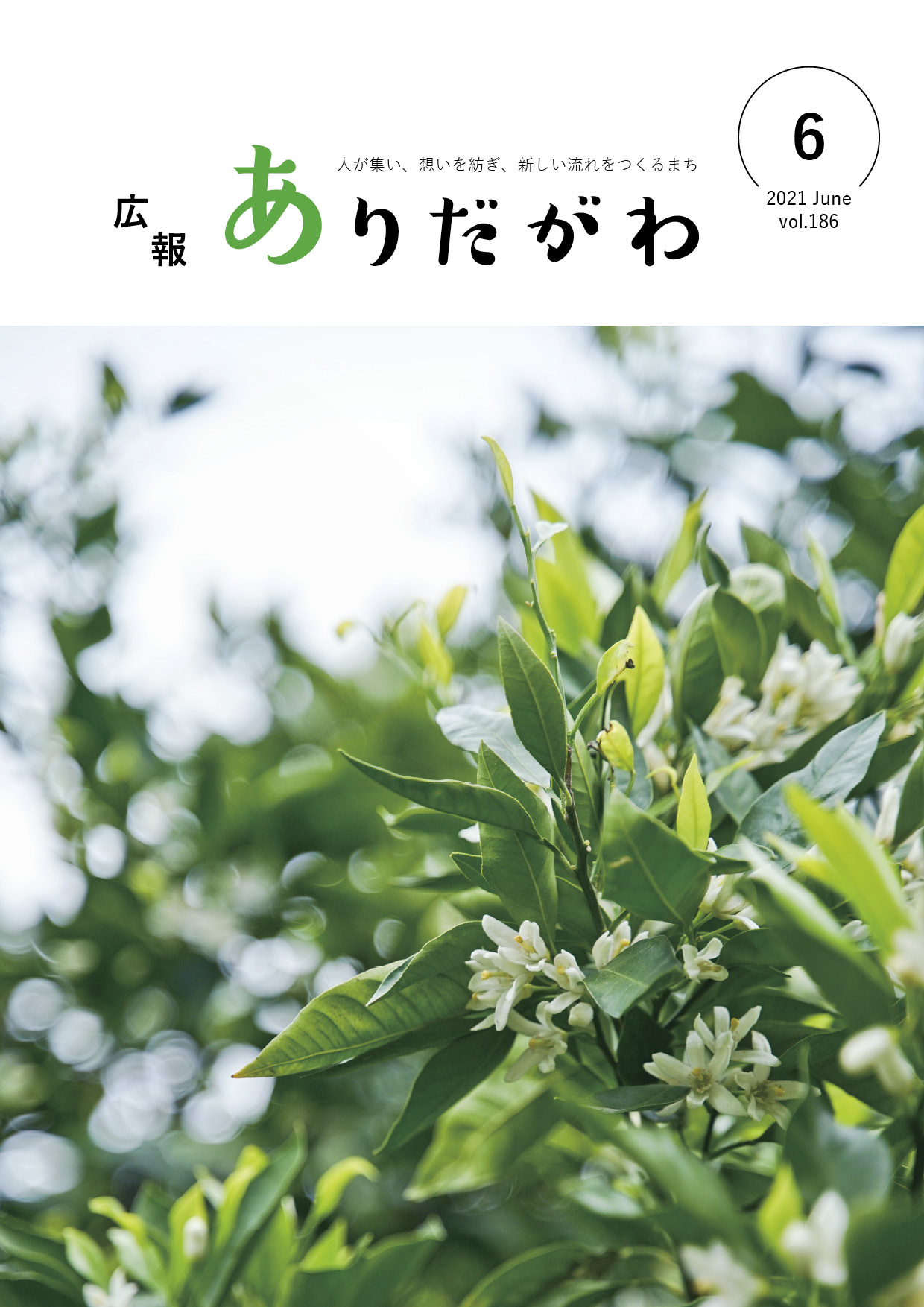 紙面イメージ（広報ありだがわ2021年6月号）