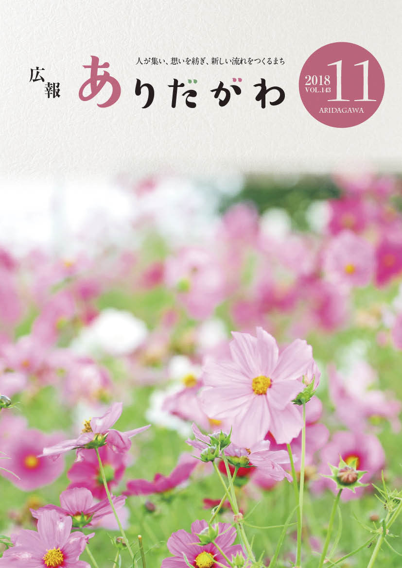 紙面イメージ（広報ありだがわ 2017年11月号）