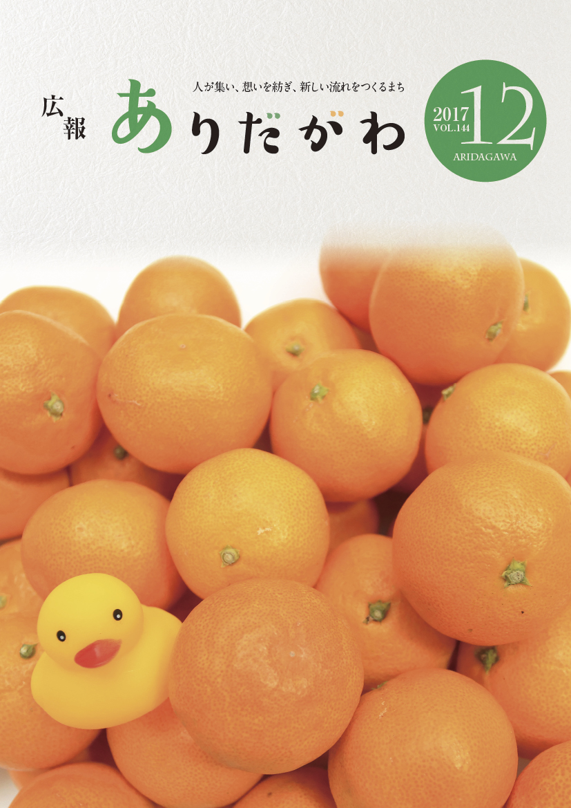 紙面イメージ（広報ありだがわ 2017年12月号）