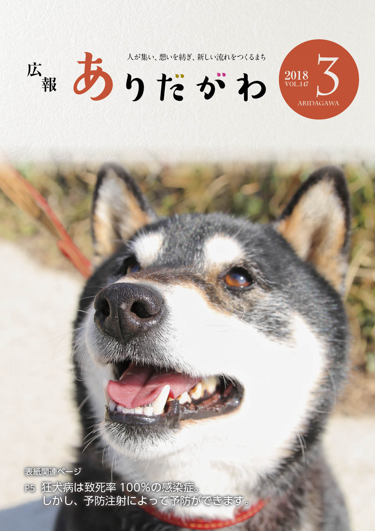 紙面イメージ（広報ありだがわ 2018年3月号）