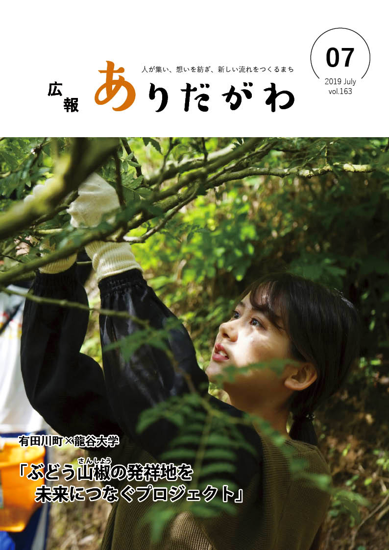 紙面イメージ（広報ありだがわ2019年7月号）