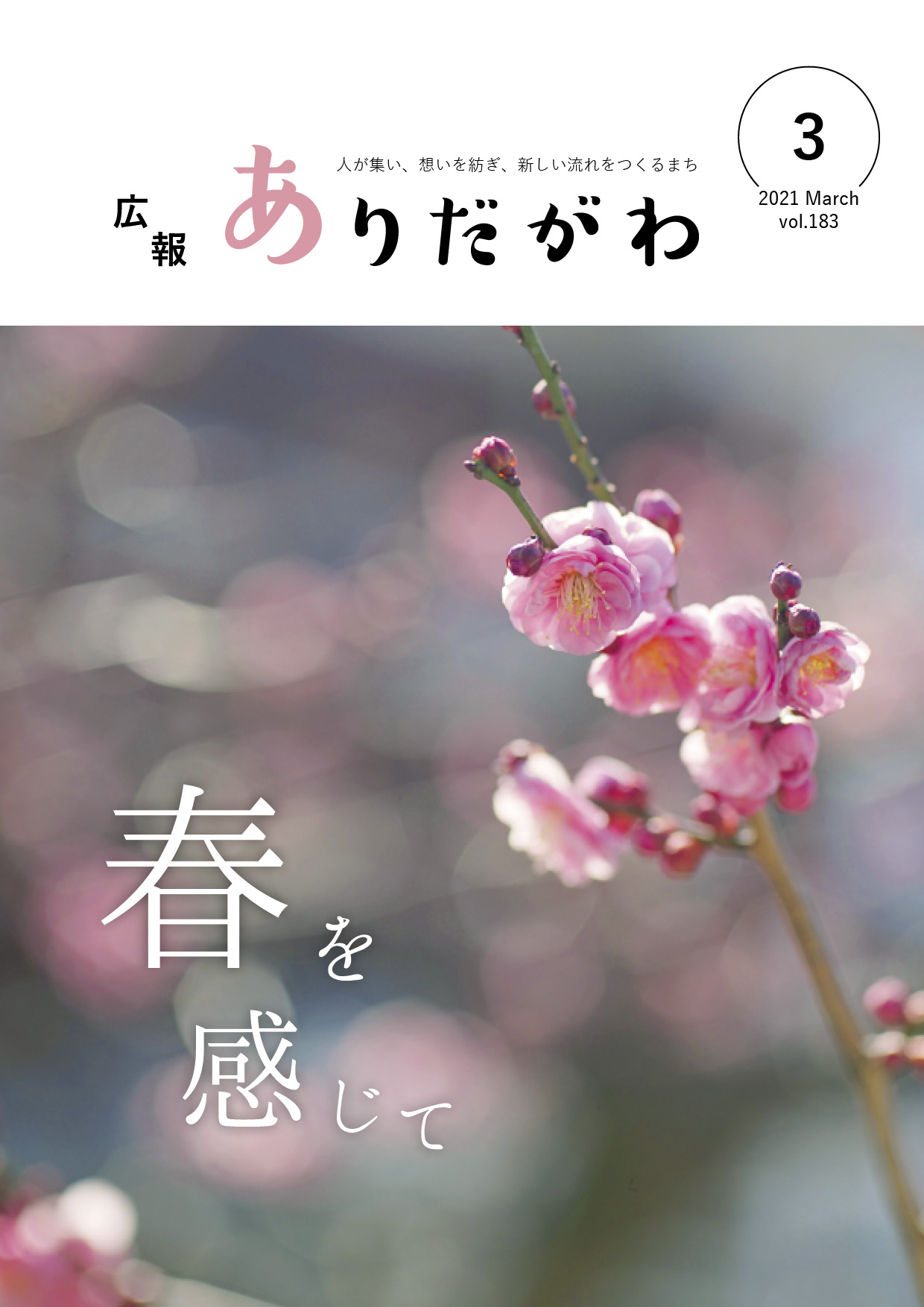 紙面イメージ（広報ありだがわ2021年3月号）