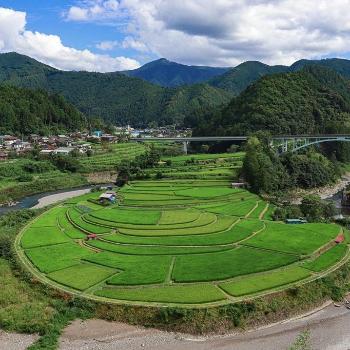 あらぎ島の様子