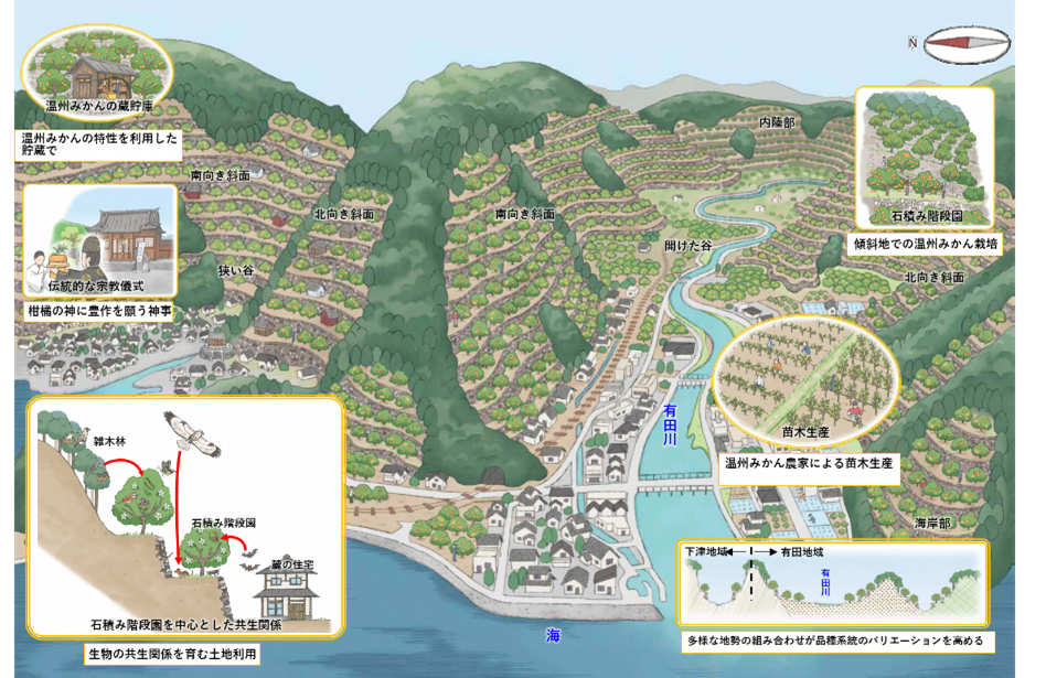 世界農業遺産イラスト