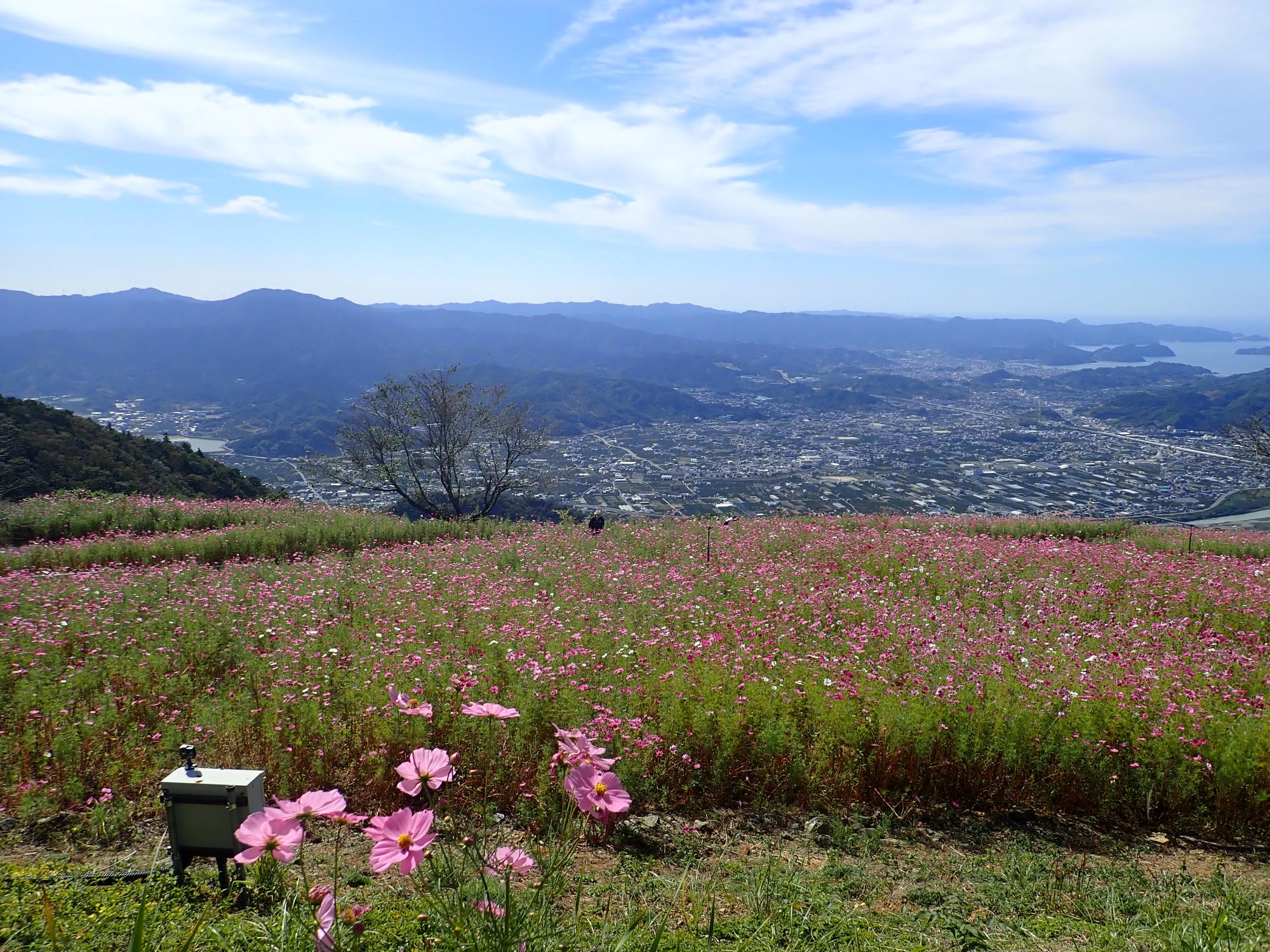 風の館前