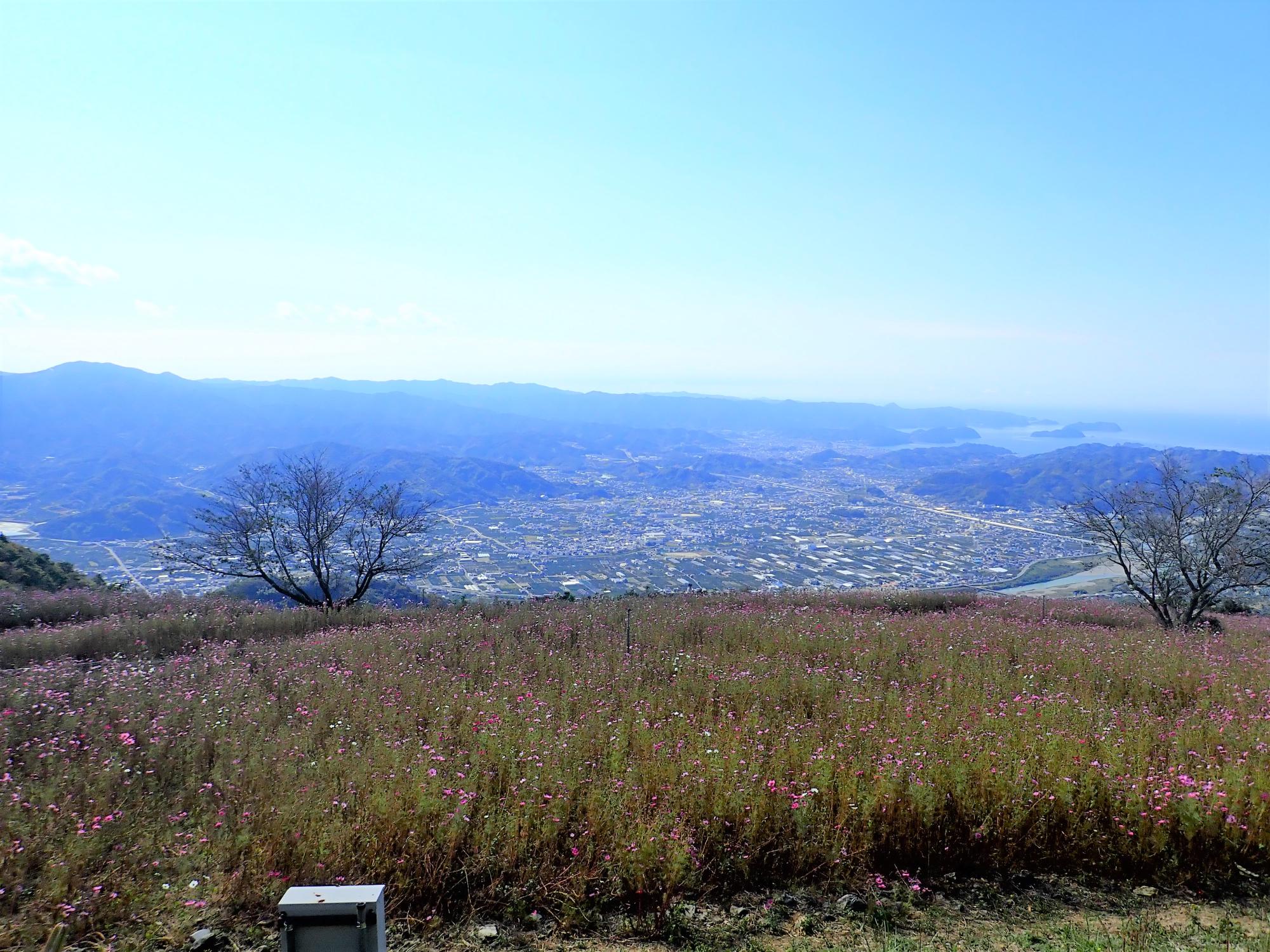 風の館前