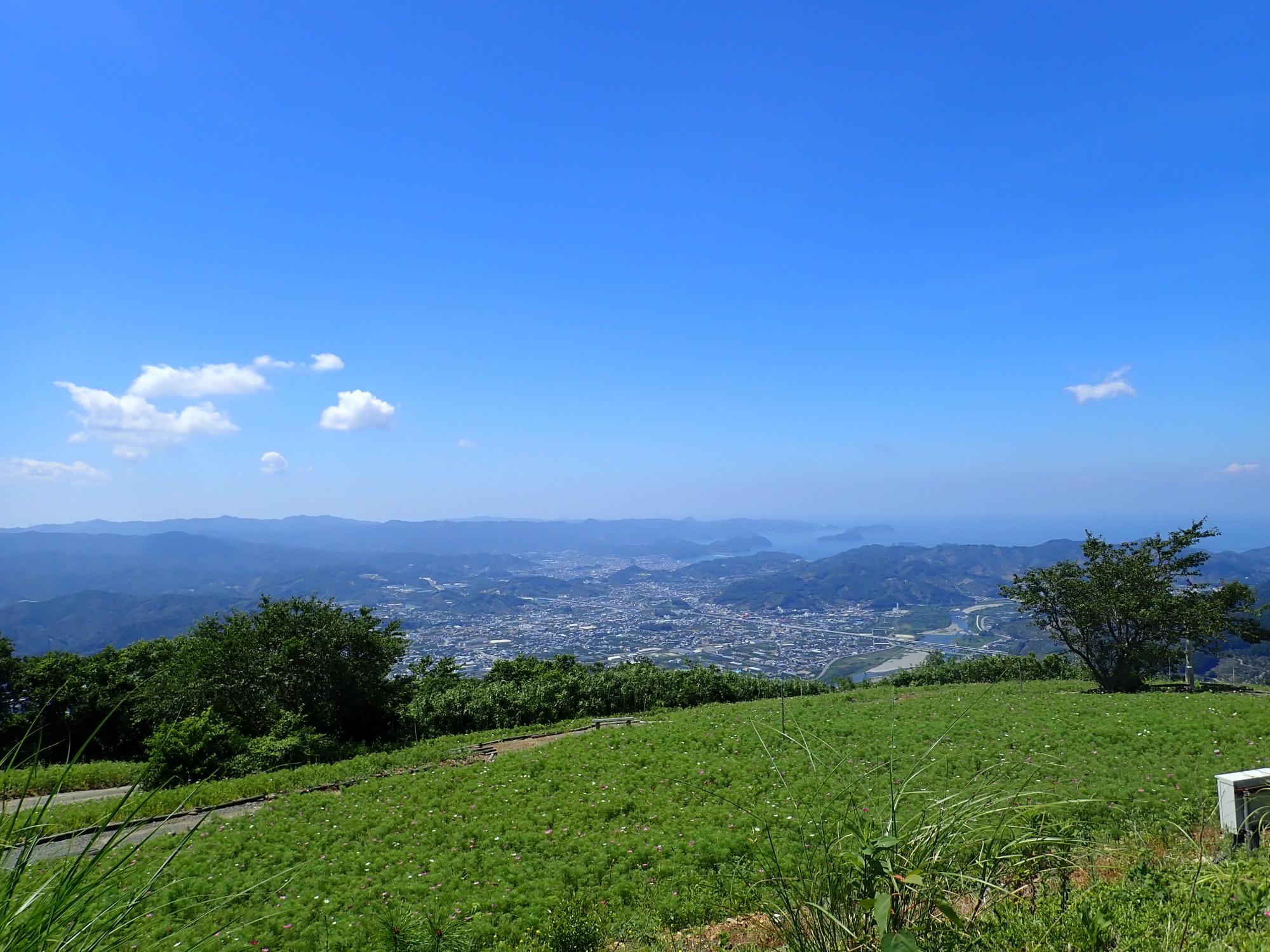 コスモスと有田川町の街並み