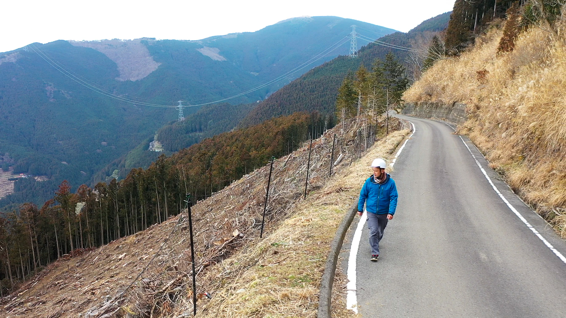 管理する山をみつめる男性