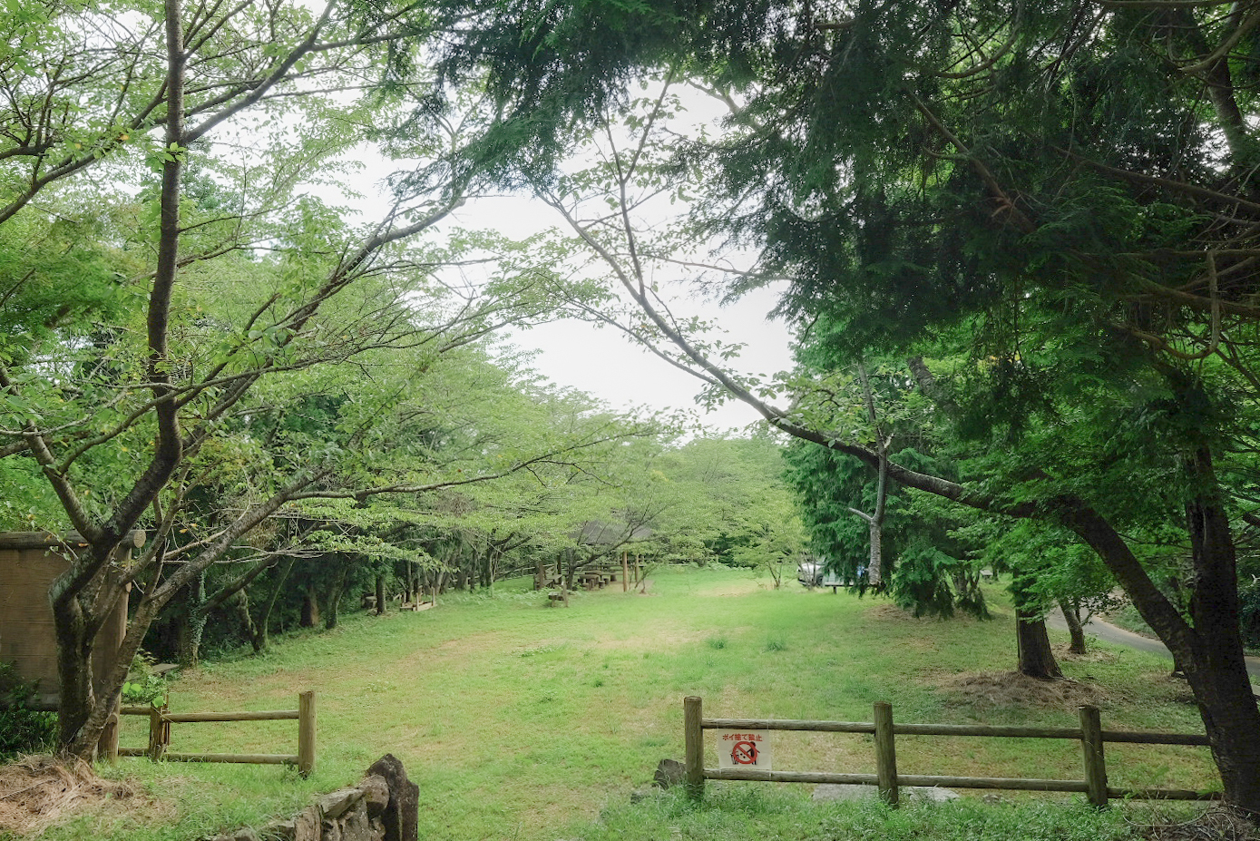 公園内の景色