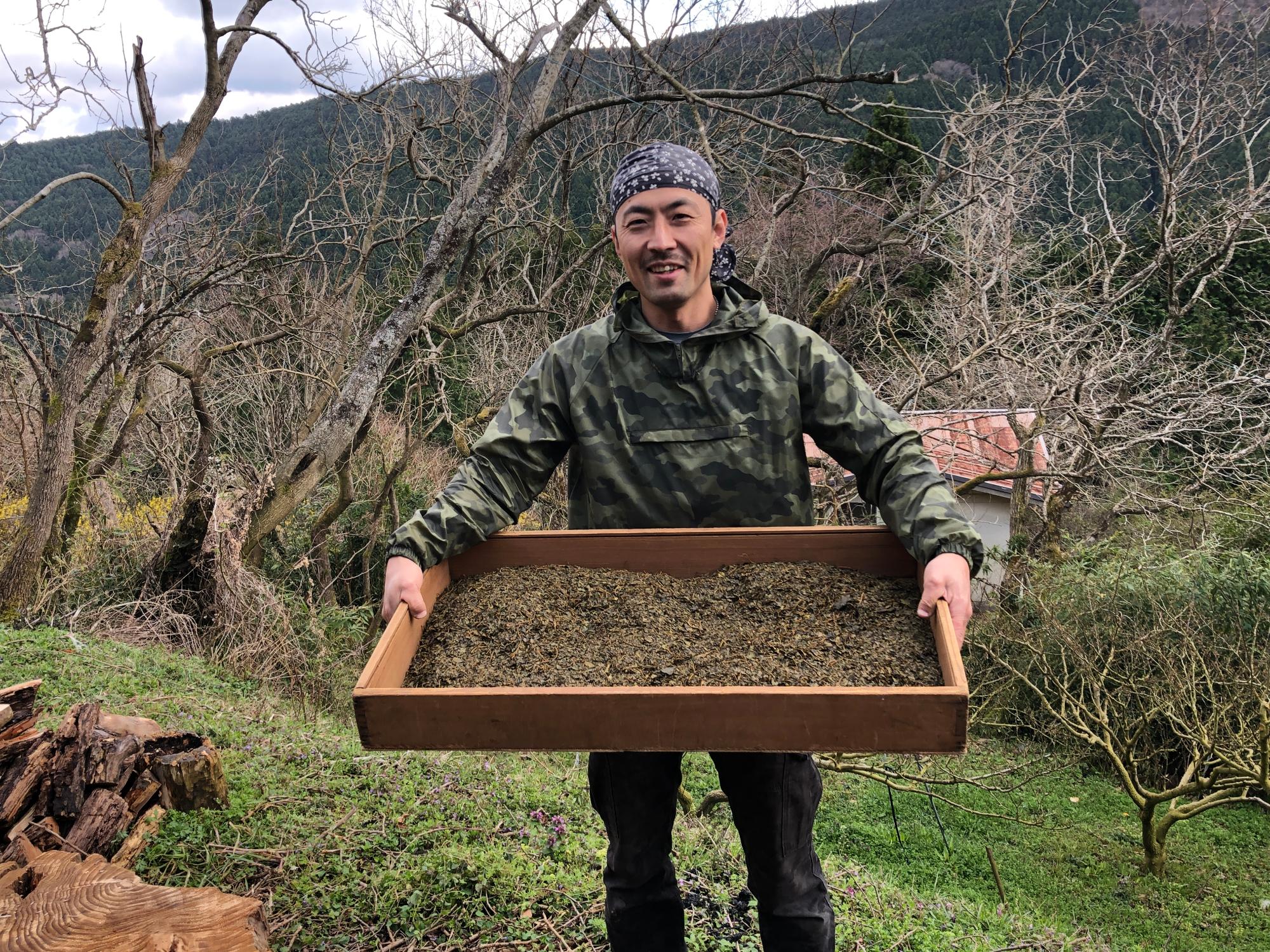 炒った桑の葉をもつ新田さん