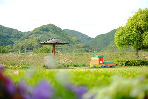 鉄道公園の芝生広場の画像