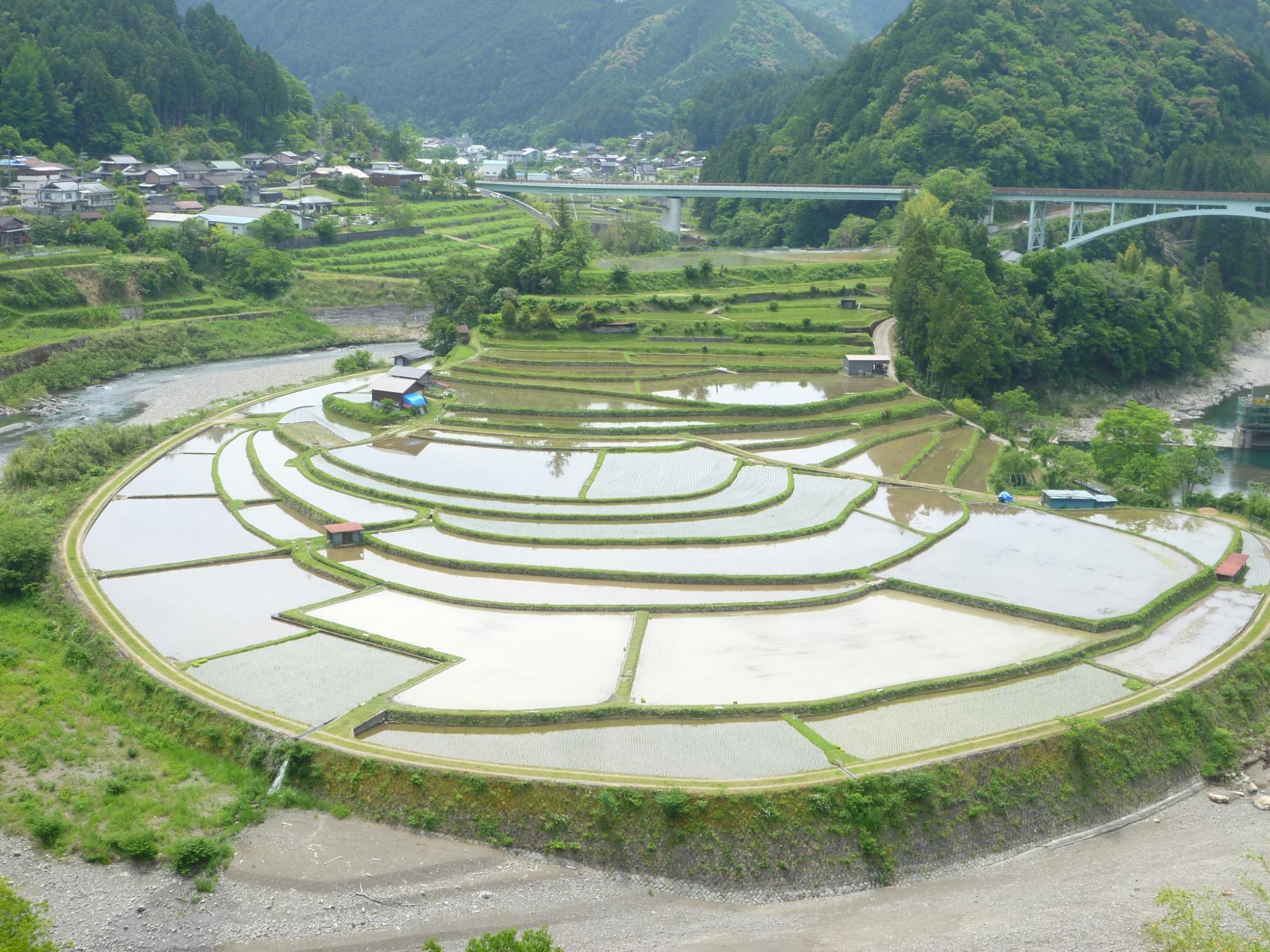 2019年5月27日撮影のあらぎ島