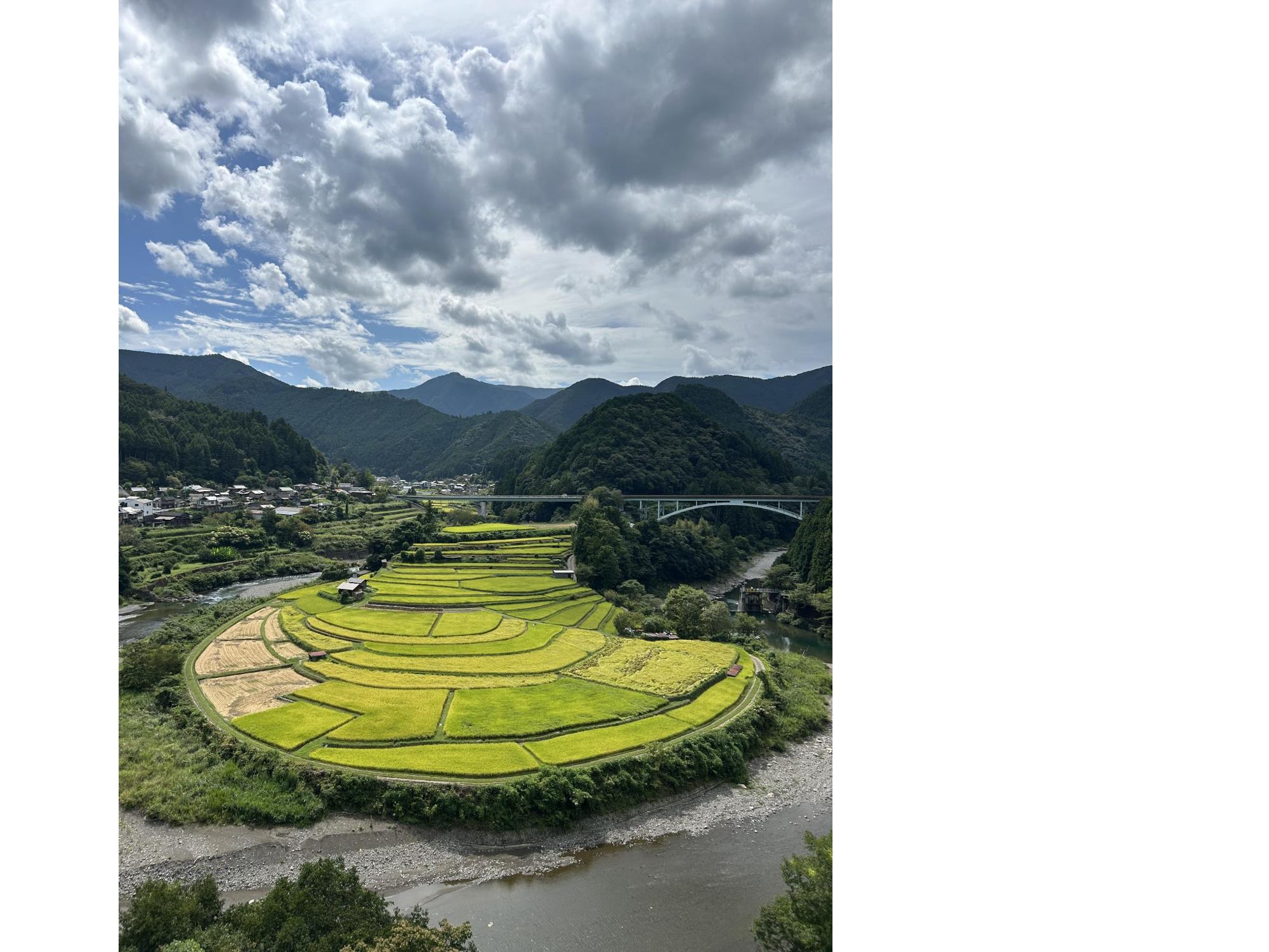 2025年9月12日撮影