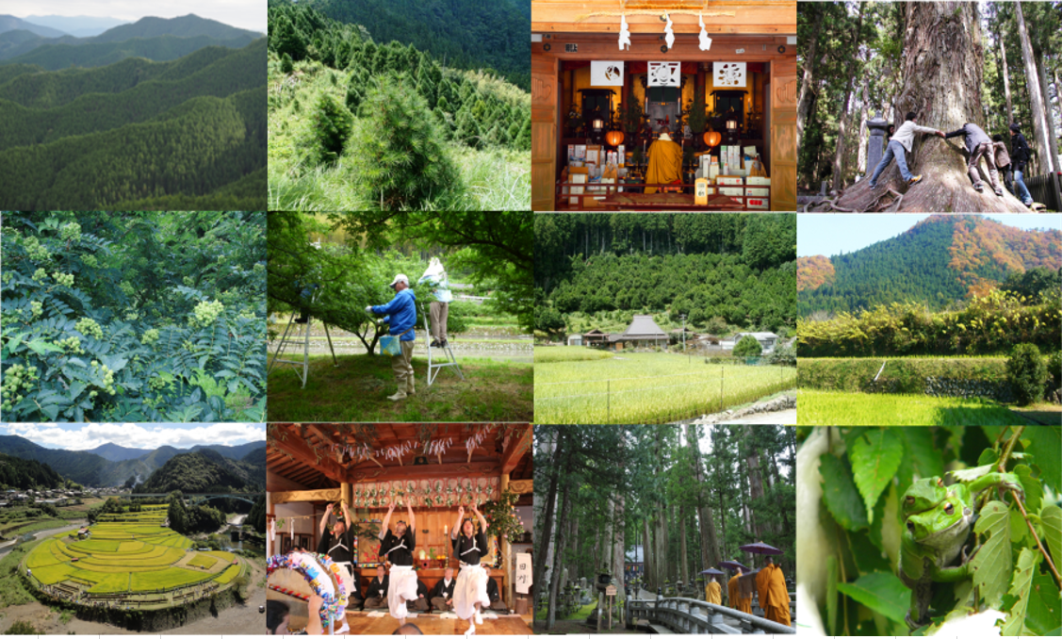 高野山・有田川流域の農林業システムトップ画像