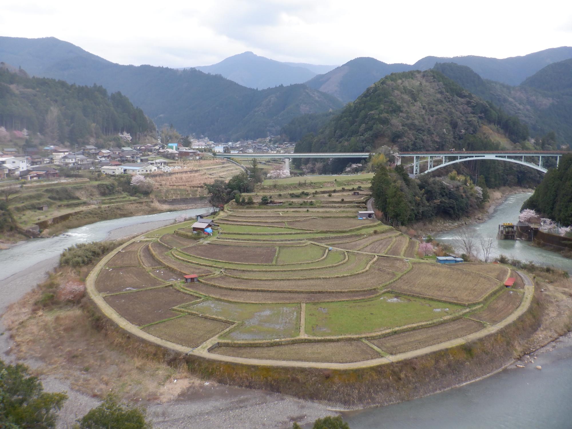 2020年4月2日撮影のあらぎ島