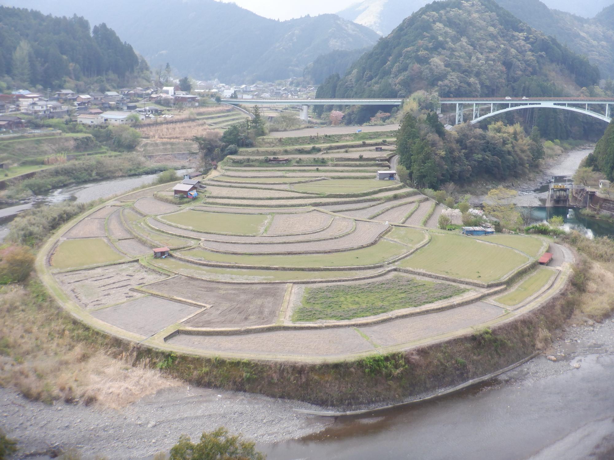 2022年4月14日撮影のあらぎ島