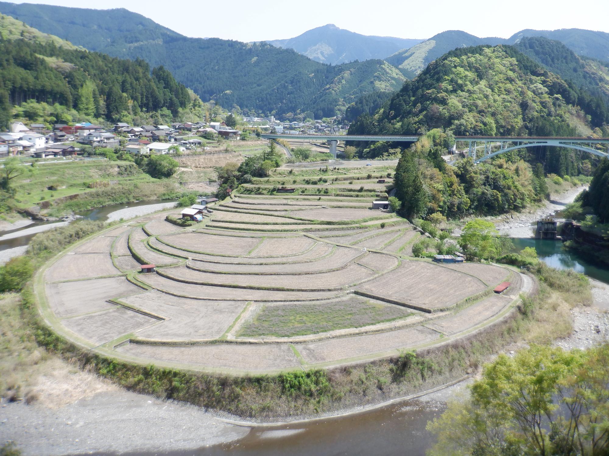 4月22日撮影のあらぎ島。最上段では水入れが始まりました。