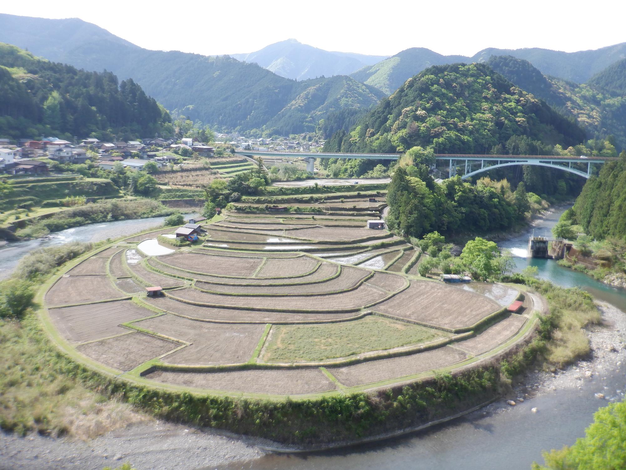 5月2日撮影のあらぎ島