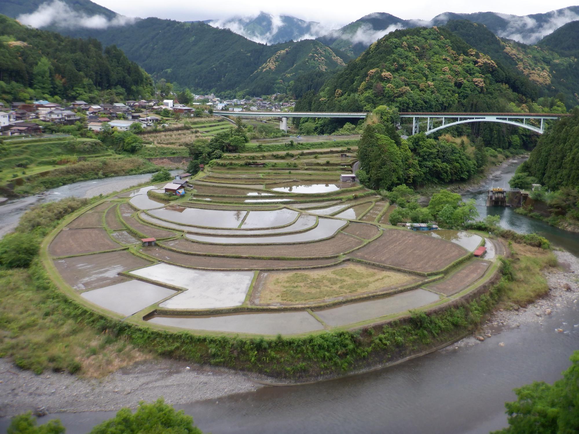 2022年5月13日撮影のあらぎ島