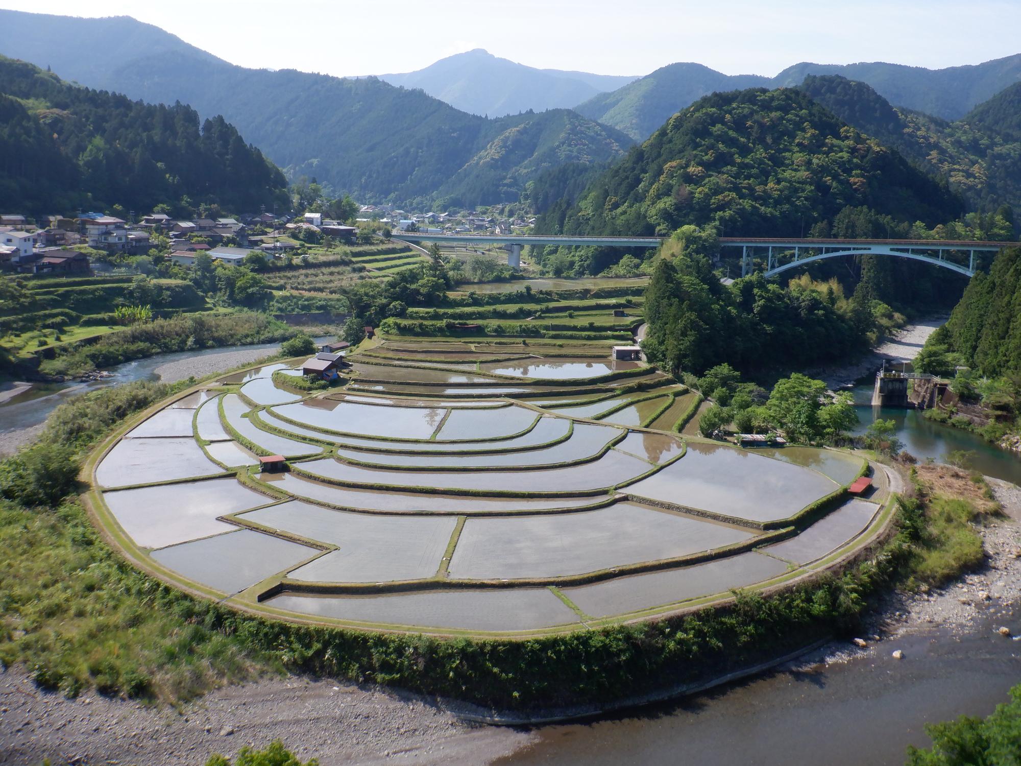 5月24日撮影のあらぎ島