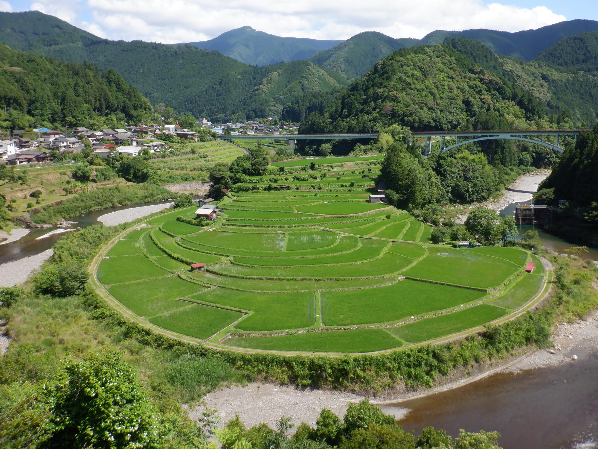 6月29日撮影のあらぎ島