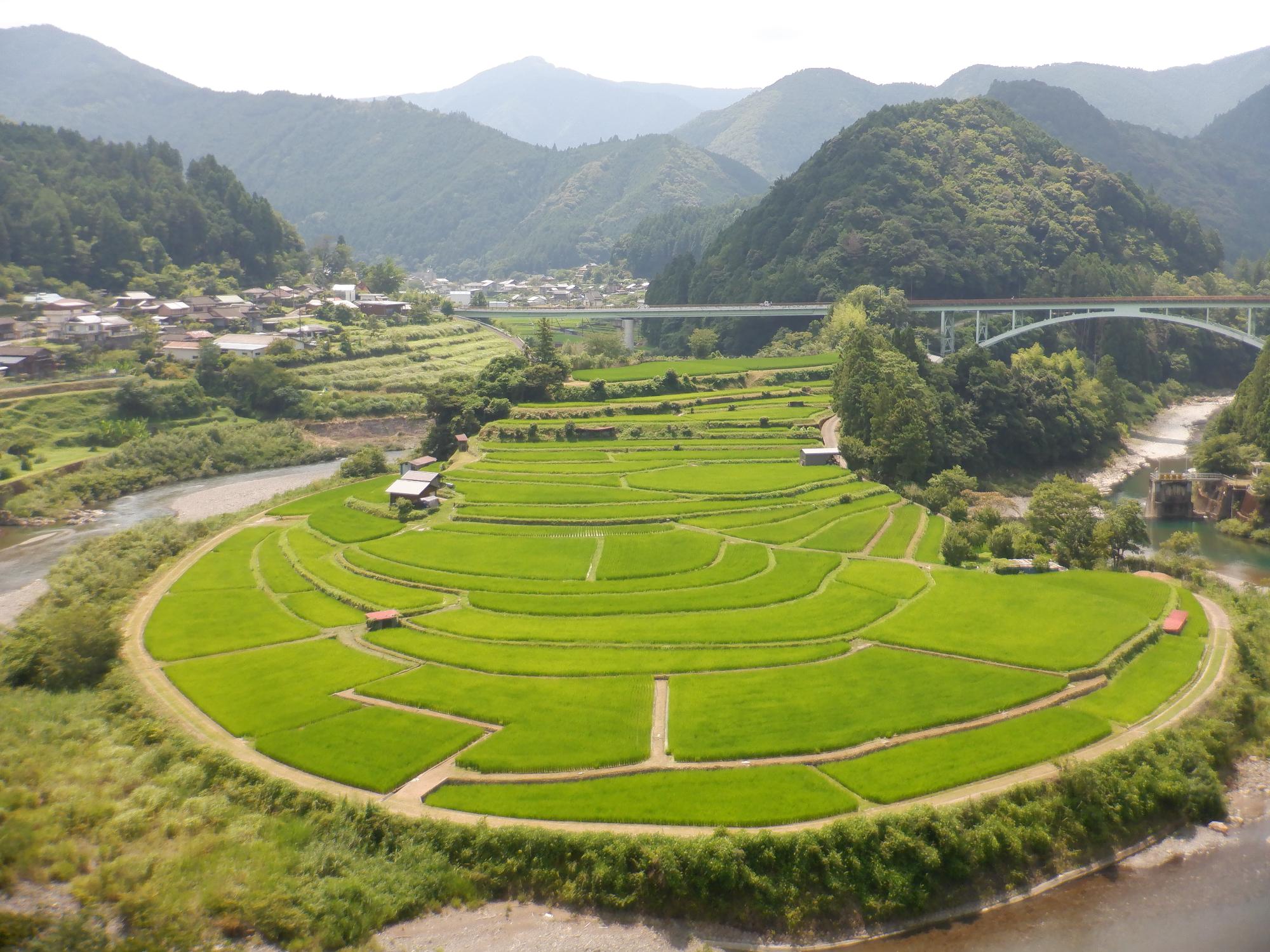 2022年7月26日撮影のあらぎ島