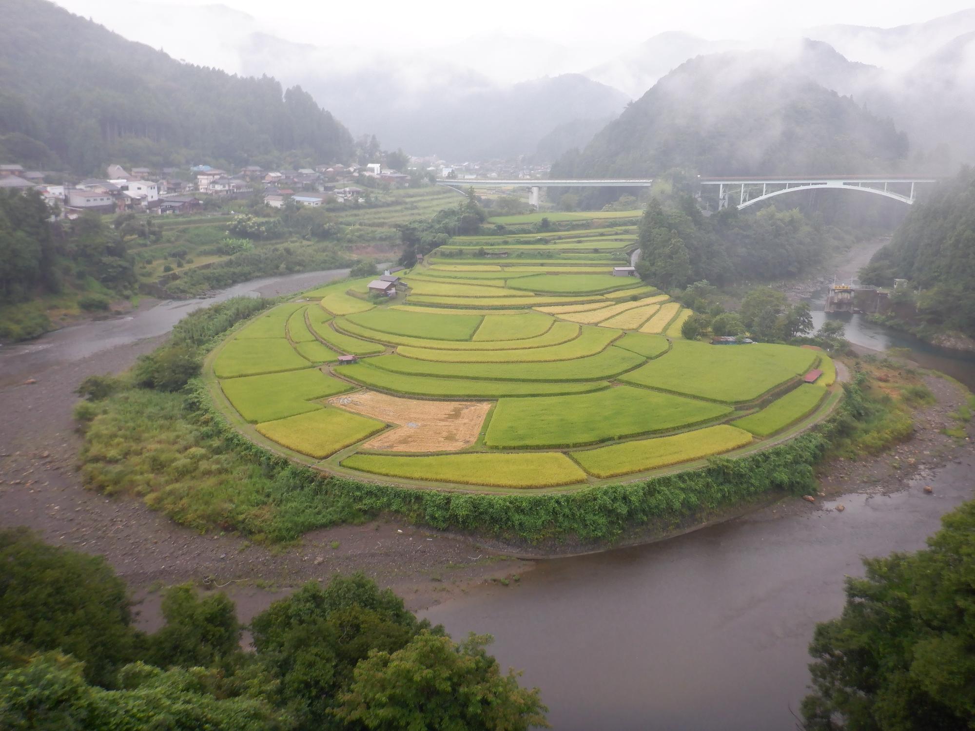 2022年8月30日撮影のあらぎ島