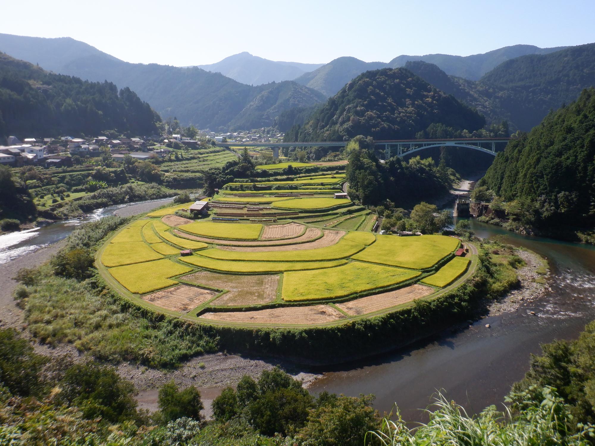 2022年9月16日撮影のあらぎ島