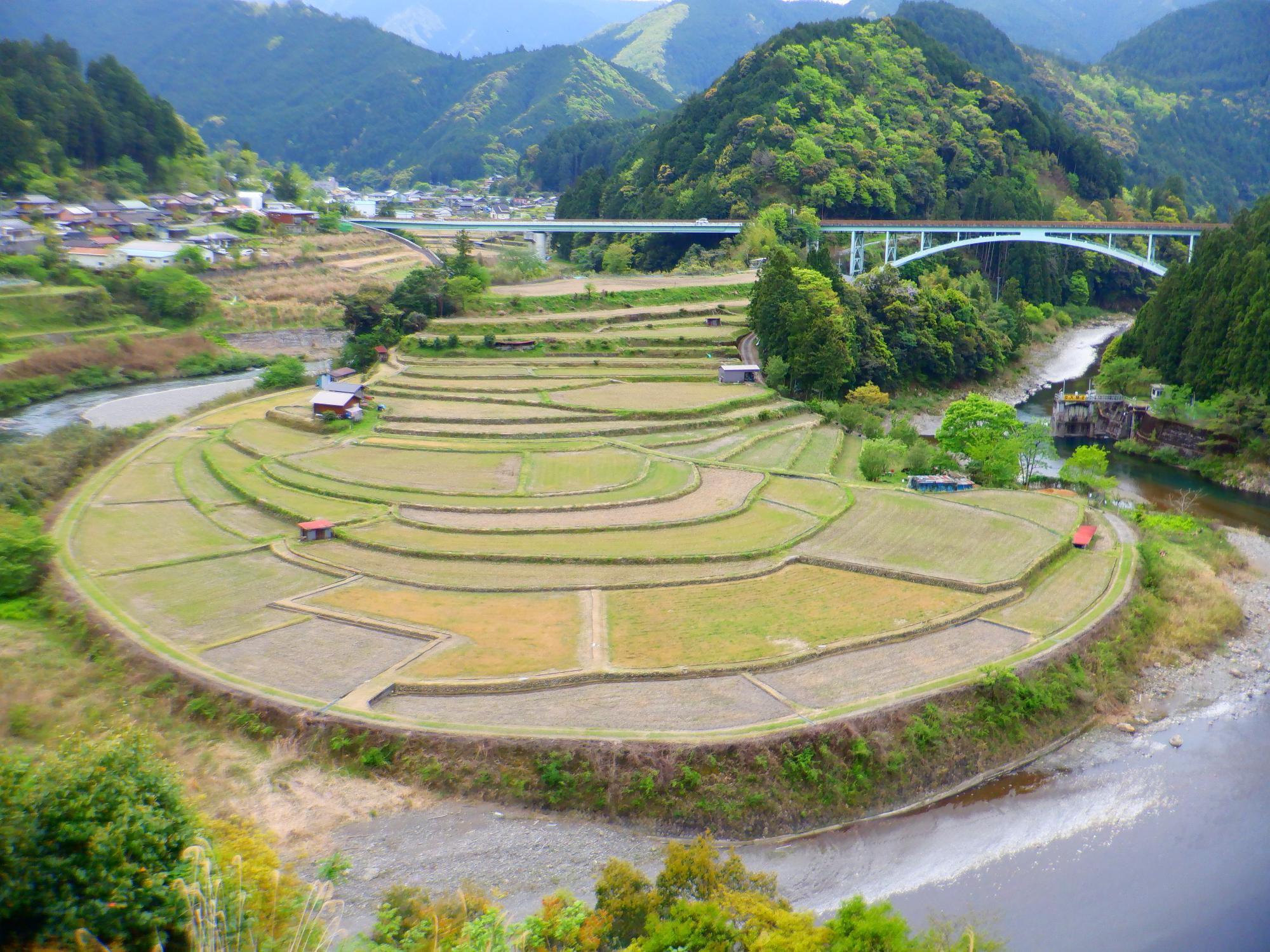 2023年4月25日撮影のあらぎ島