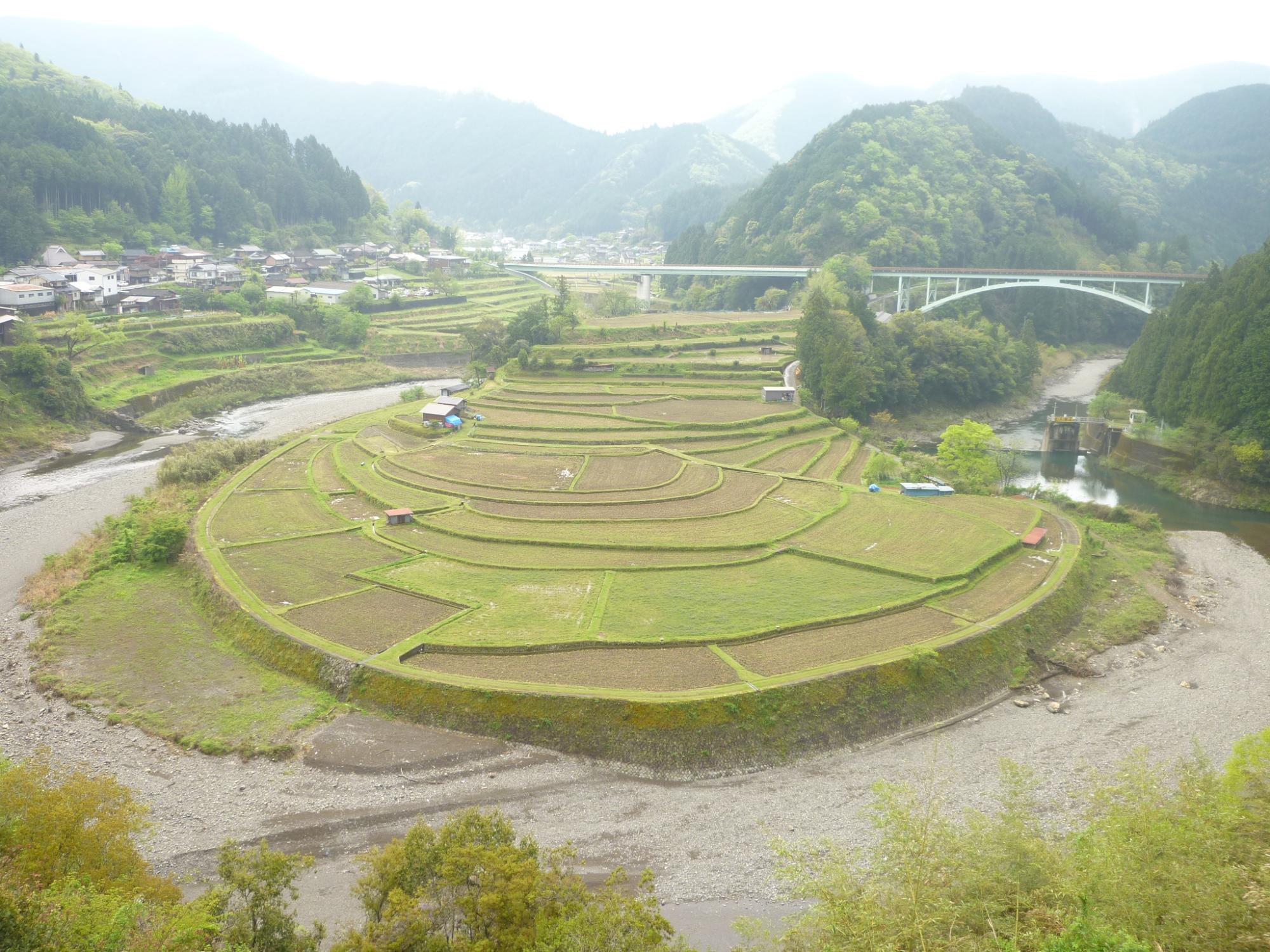 2019年4月26日撮影のあらぎ島