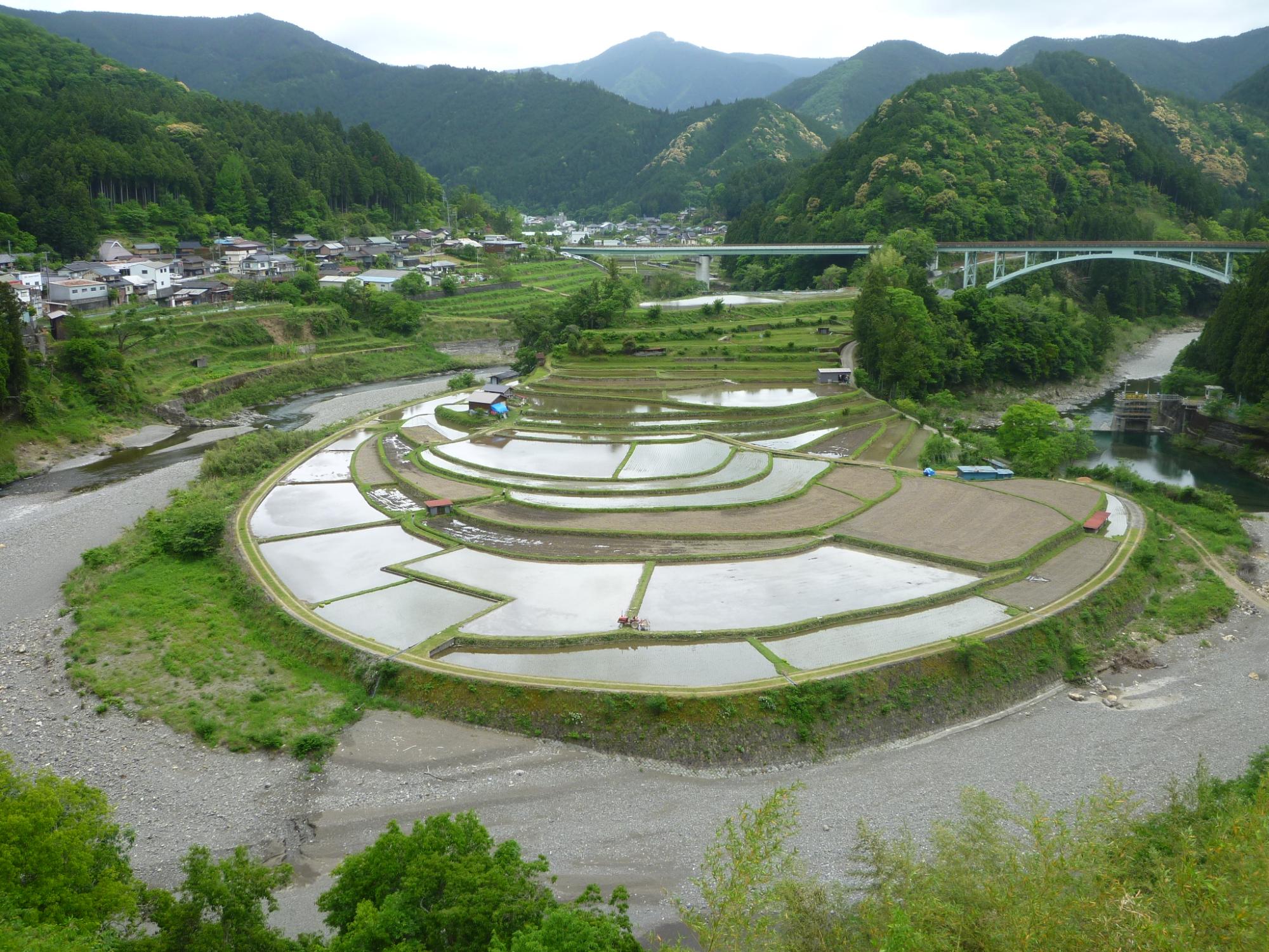 2019年5月20日撮影のあらぎ島