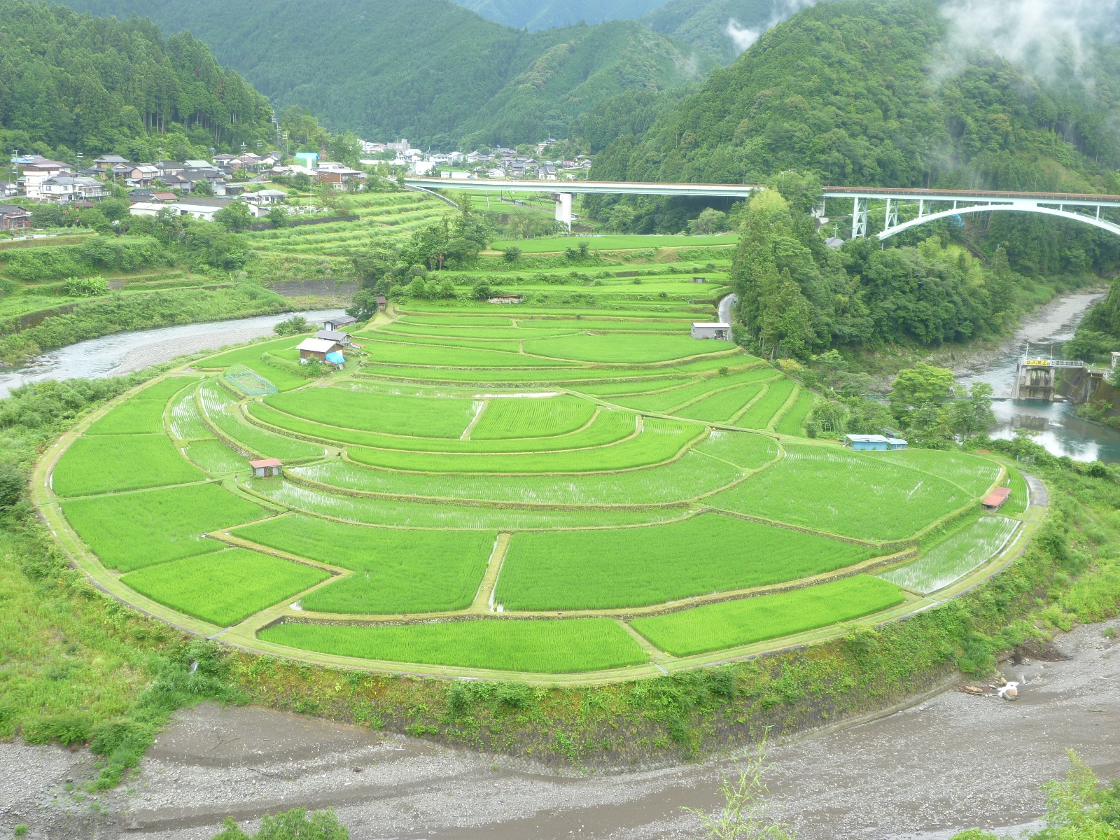 2019年7月11日撮影のあらぎ島