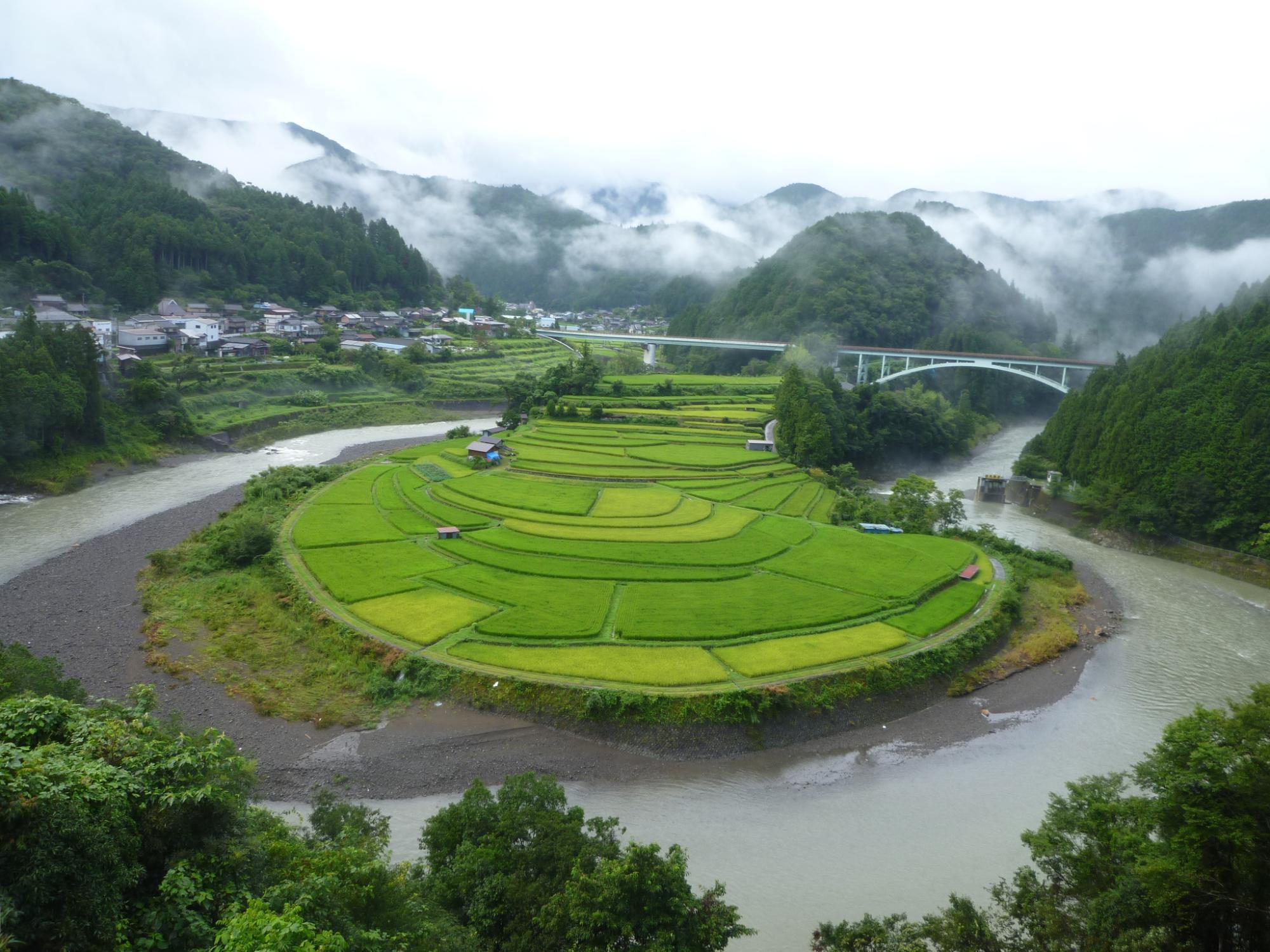 8月20日撮影のあらぎ島