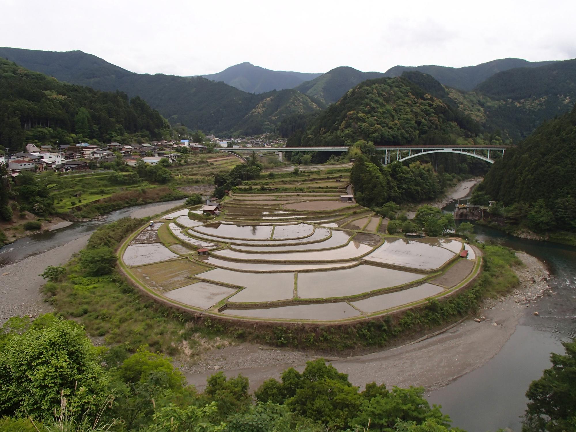 2023年5月18日撮影のあらぎ島