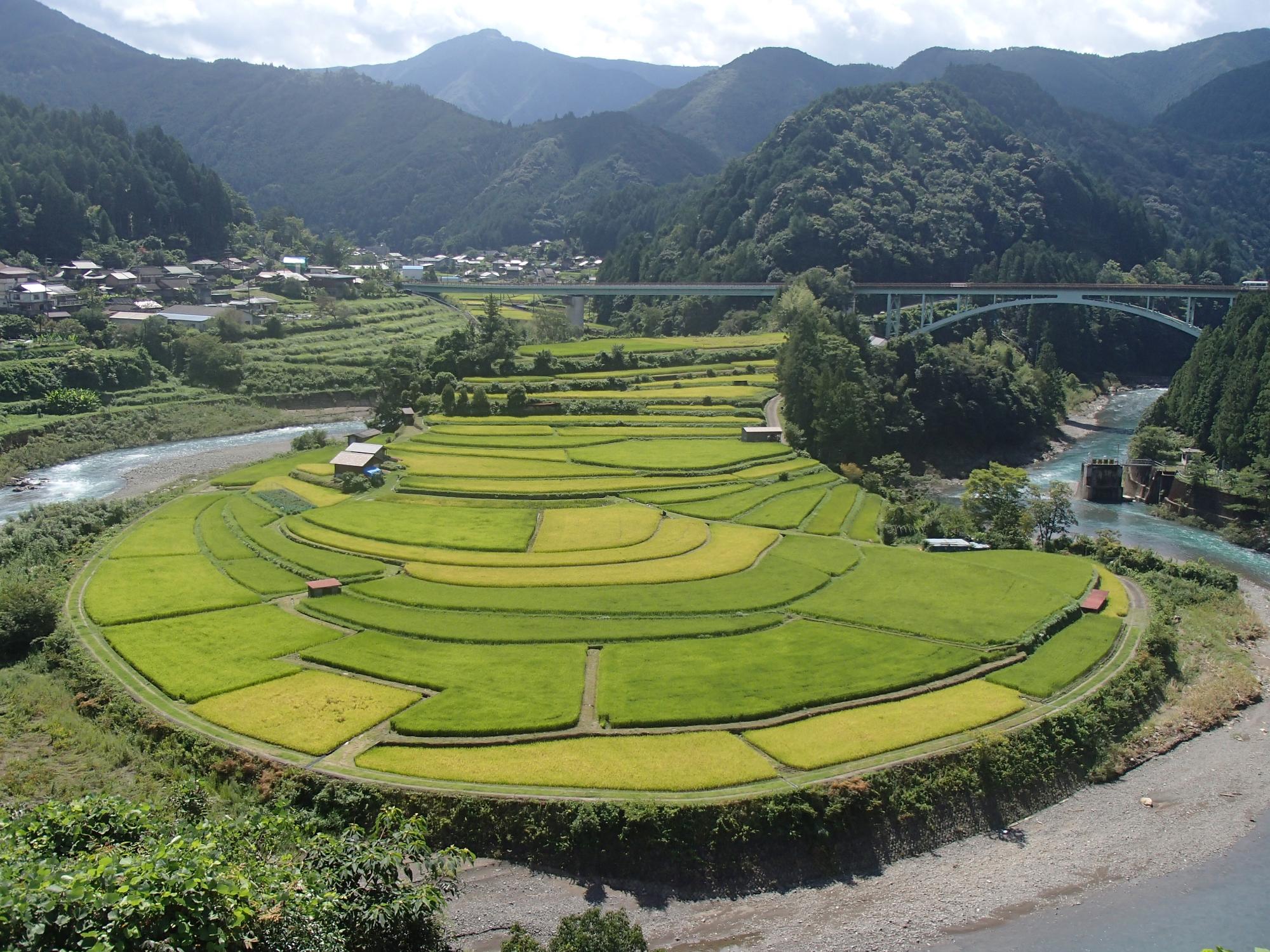 2019年9月2日撮影のあらぎ島