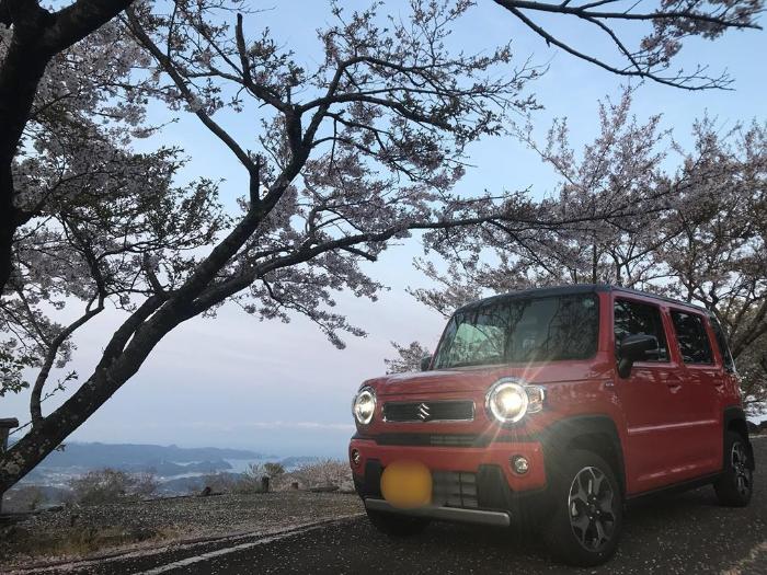 赤色の軽自動車と桜が写っている写真