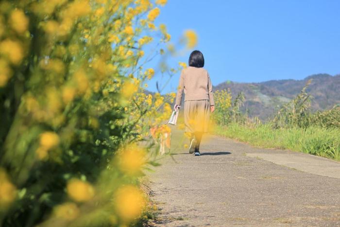 黄色い花が道端に咲いた道を散歩している女性と犬