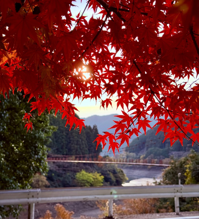 紅葉と蔵王橋